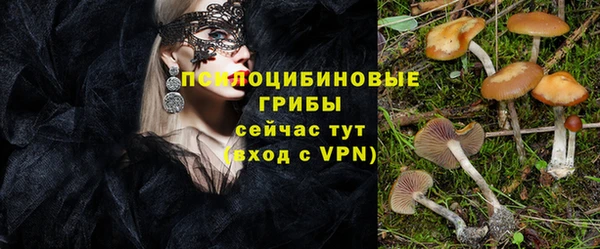 молекула духа Алзамай