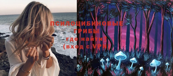 молекула духа Алзамай
