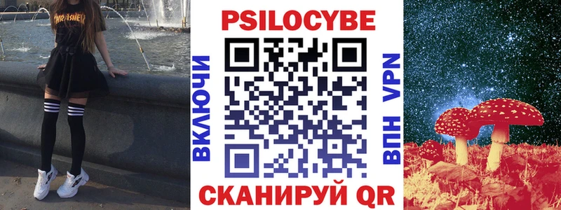 Галлюциногенные грибы Psilocybe  где найти наркотики  Ува 